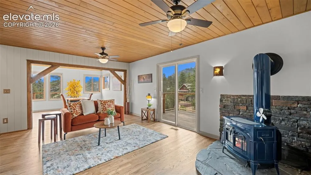 925 Midland Court Lake George, CO 80827