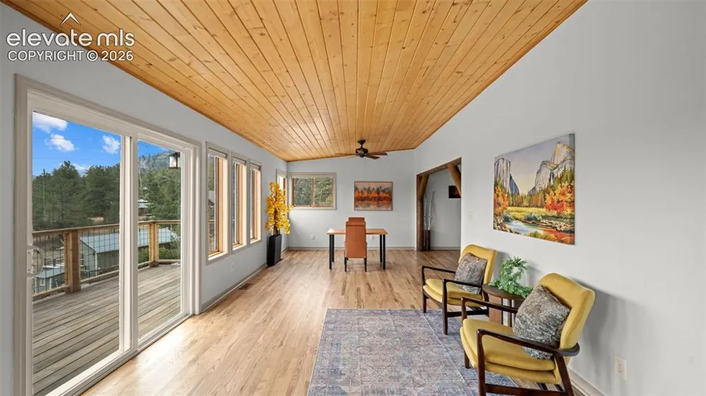 925 Midland Court Lake George, CO 80827