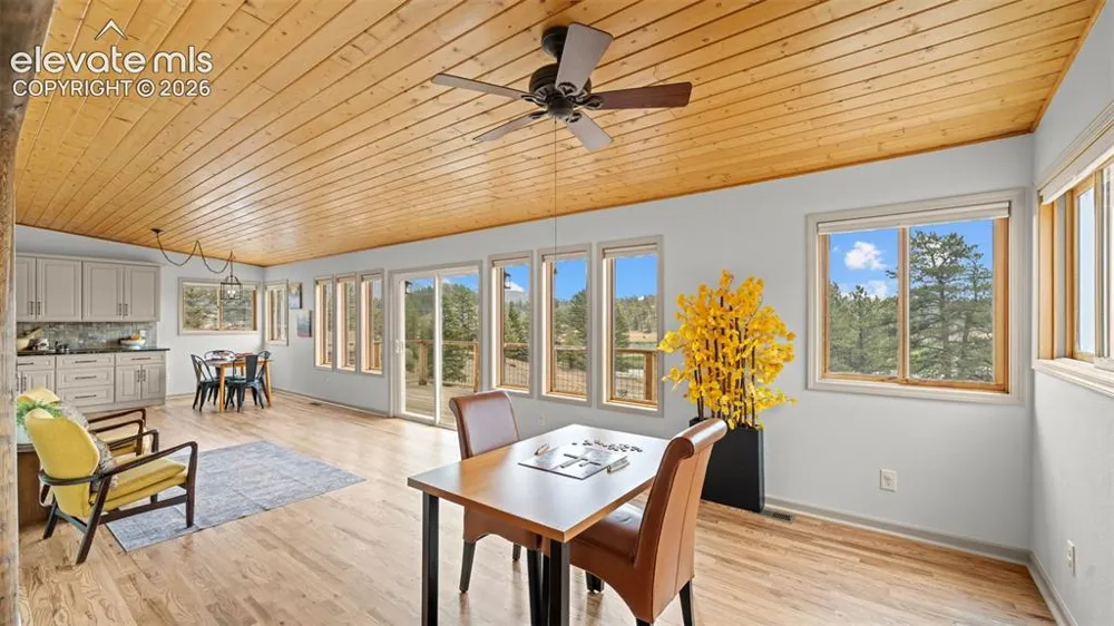 925 Midland Court Lake George, CO 80827
