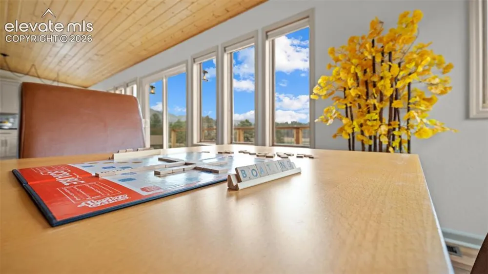 925 Midland Court Lake George, CO 80827