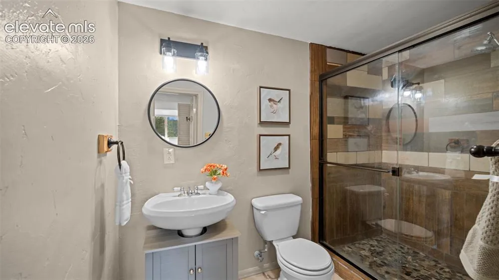 925 Midland Court Lake George, CO 80827