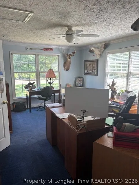 3744 NC HWY 210 Highway Harrells, NC 28444