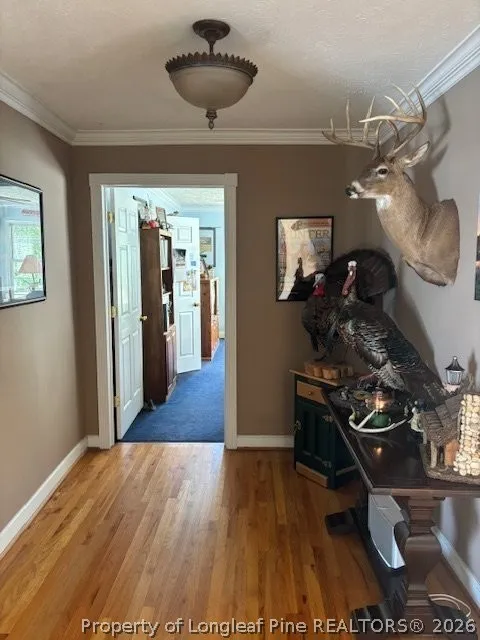 3744 NC HWY 210 Highway Harrells, NC 28444