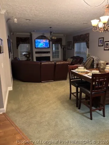3744 NC HWY 210 Highway Harrells, NC 28444