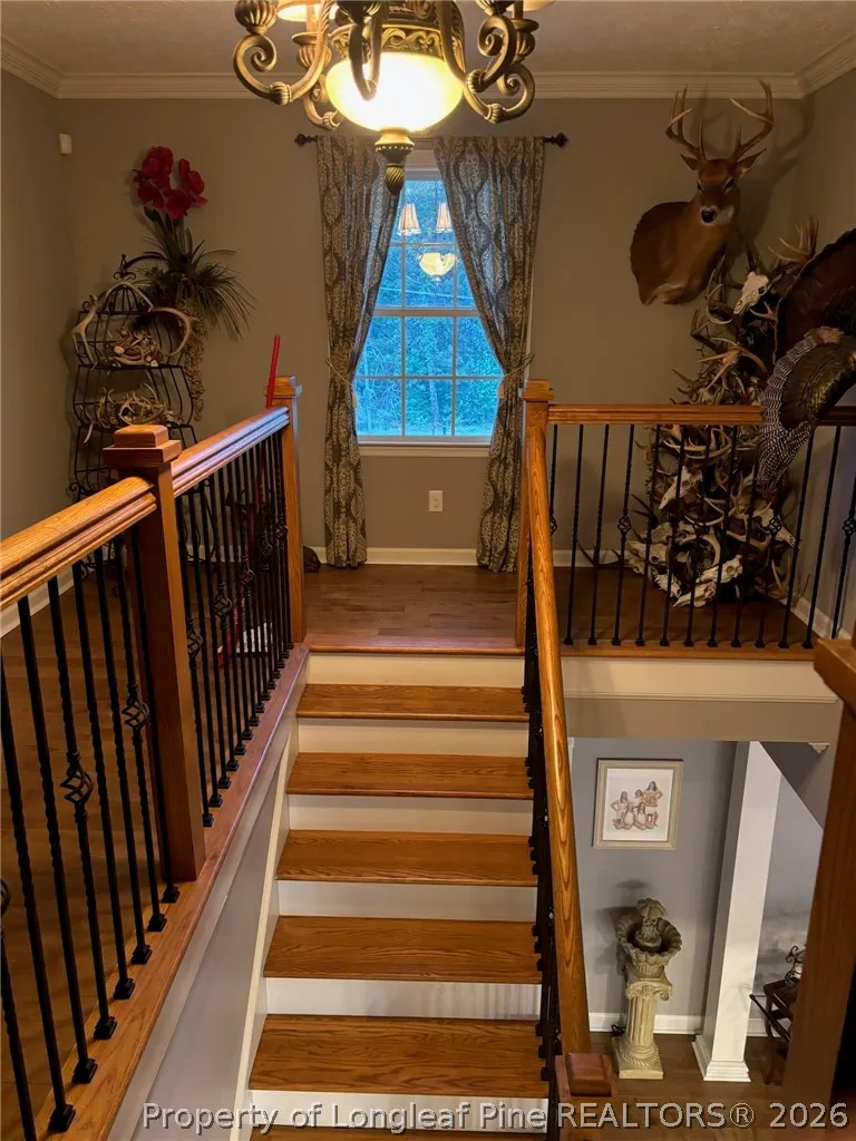 3744 NC HWY 210 Highway Harrells, NC 28444
