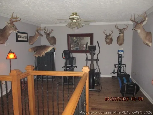 3744 NC HWY 210 Highway Harrells, NC 28444