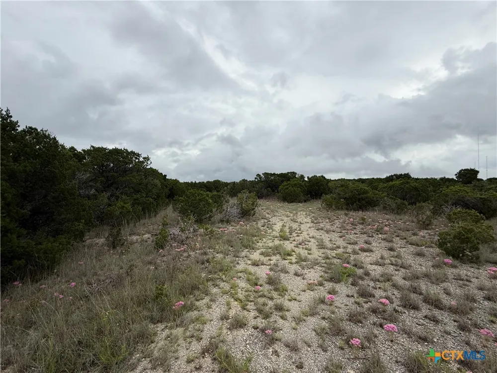 13272 FM 2484 Salado, TX 76571