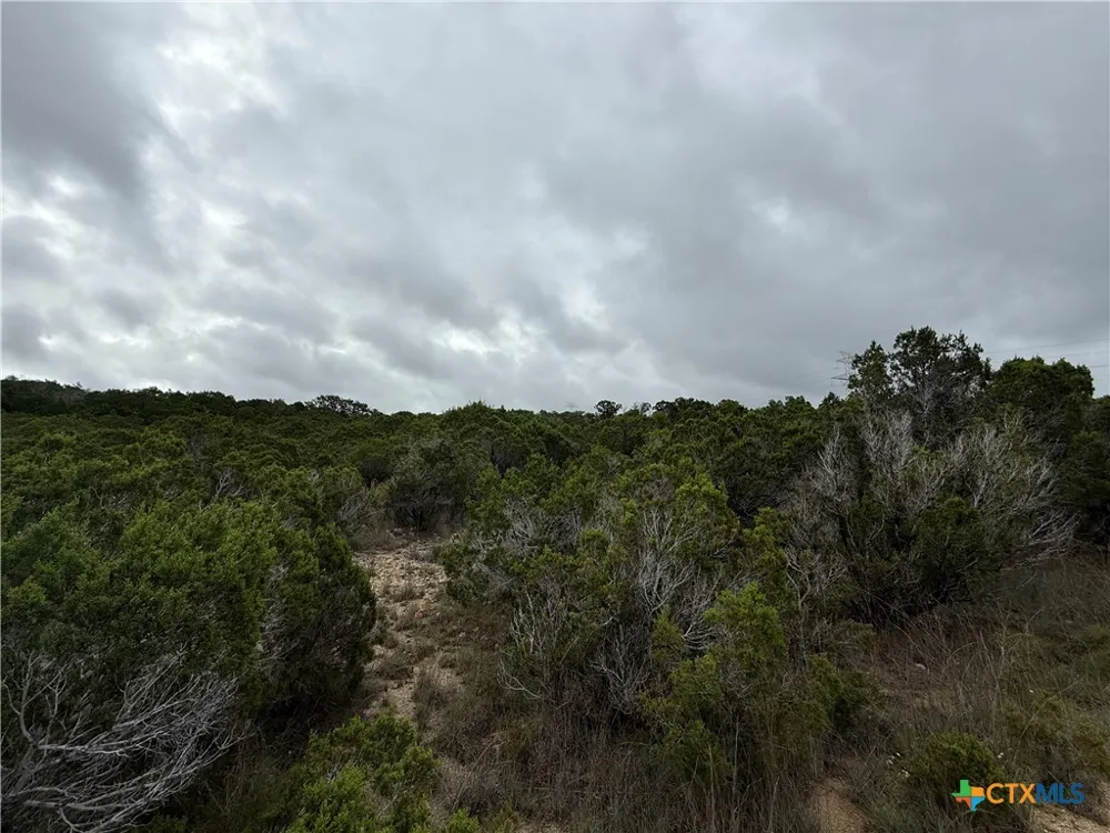 13272 FM 2484 Salado, TX 76571
