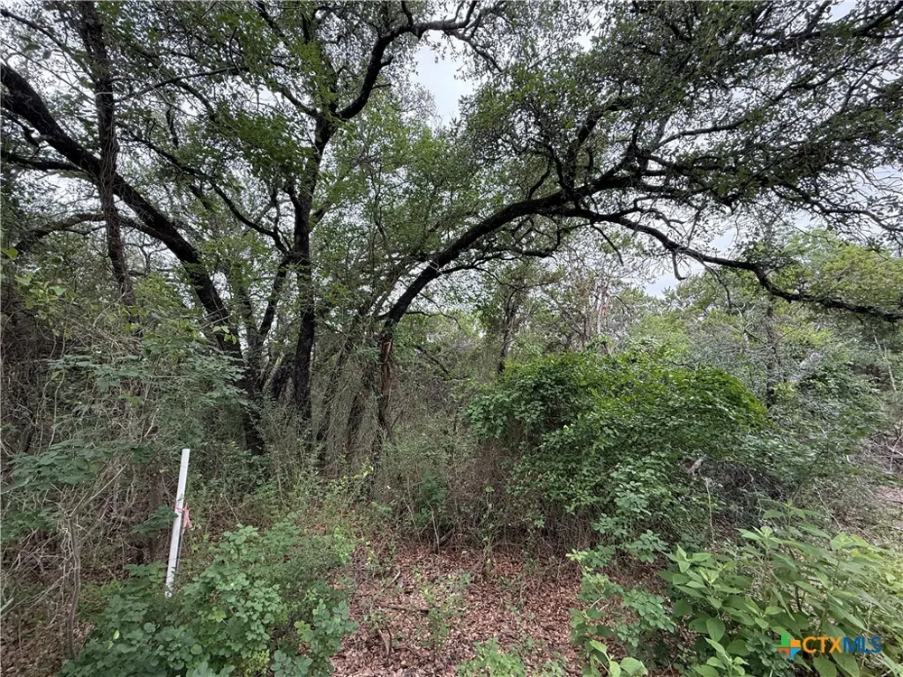 13272 FM 2484 Salado, TX 76571