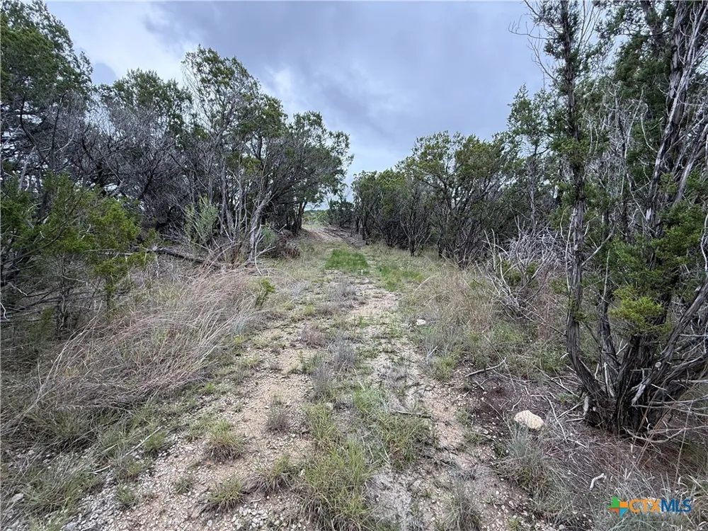 13272 FM 2484 Salado, TX 76571