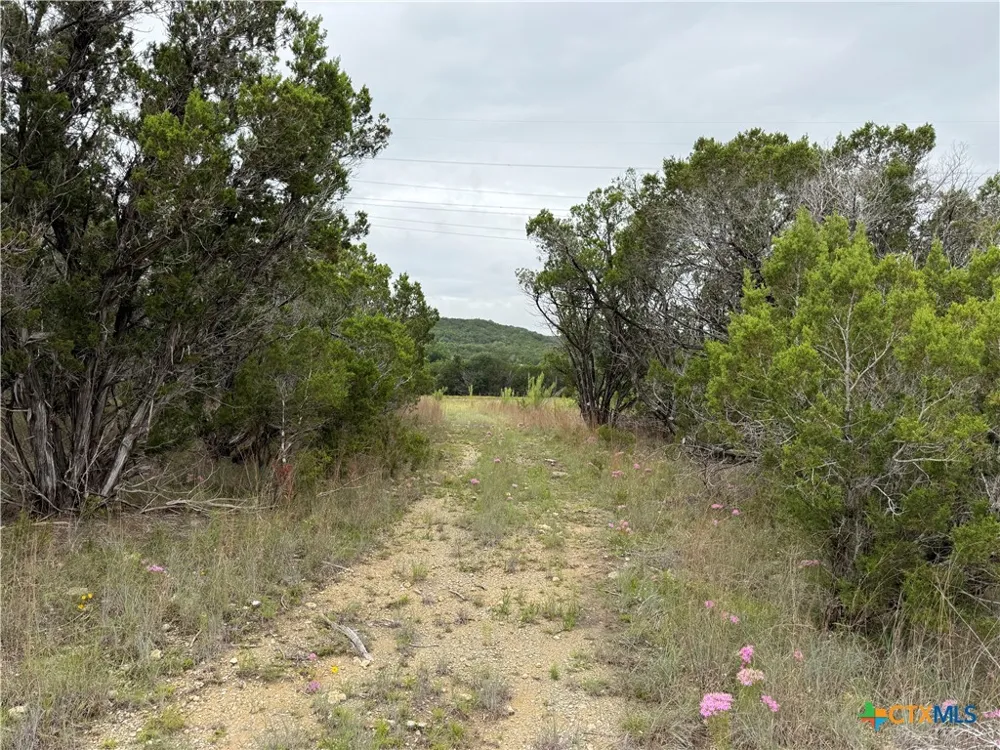 13272 FM 2484 Salado, TX 76571