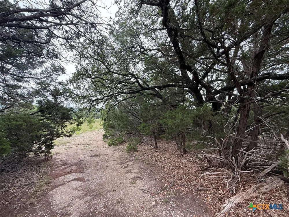 13272 FM 2484 Salado, TX 76571