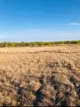 FARM MARKET 142 Lueders, TX 79533