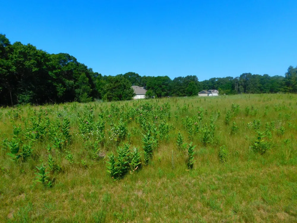 20042 Wild Rice Drive NE Wyoming, MN 55092