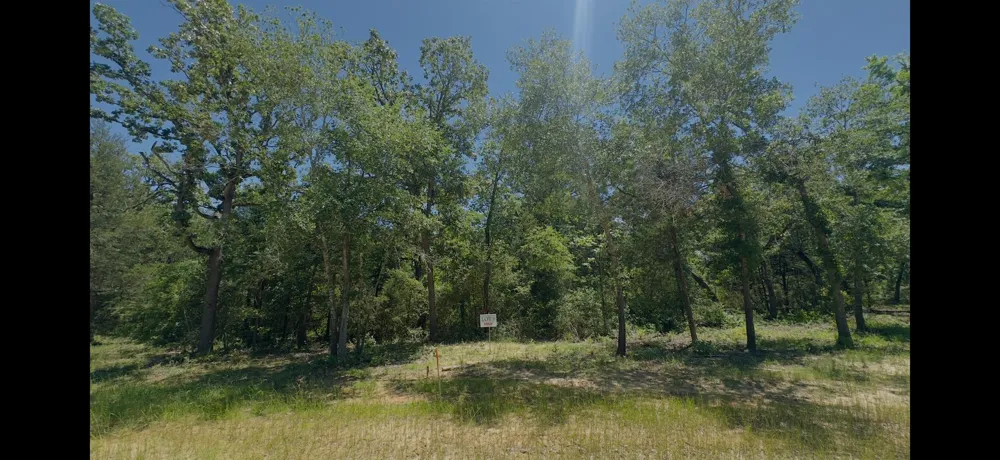 9 County Road 494 Jewett, TX 75846