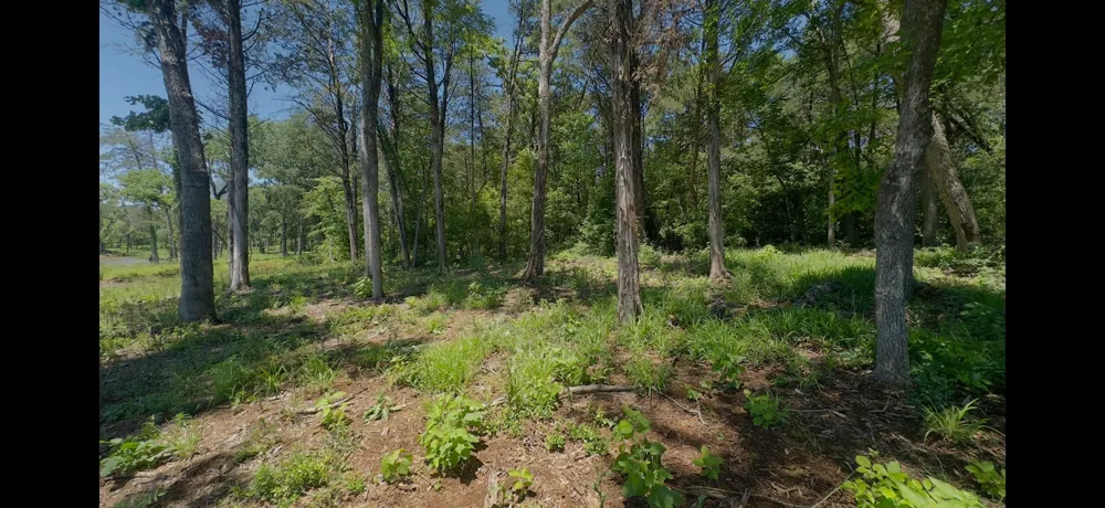 9 County Road 494 Jewett, TX 75846