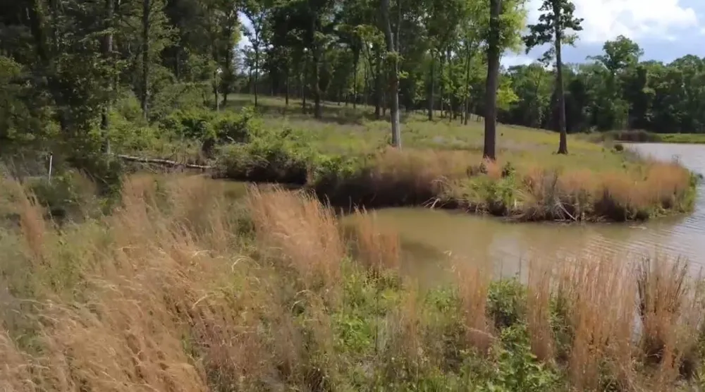 9 County Road 494 Jewett, TX 75846