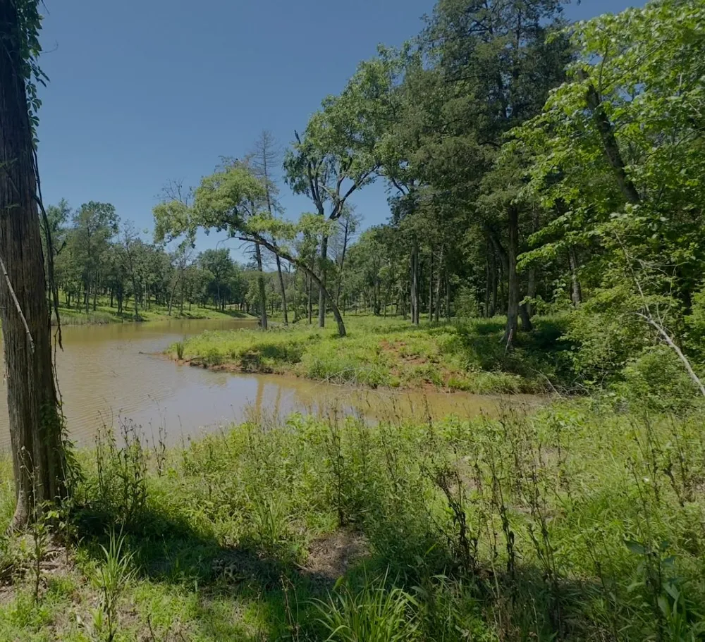9 County Road 494 Jewett, TX 75846