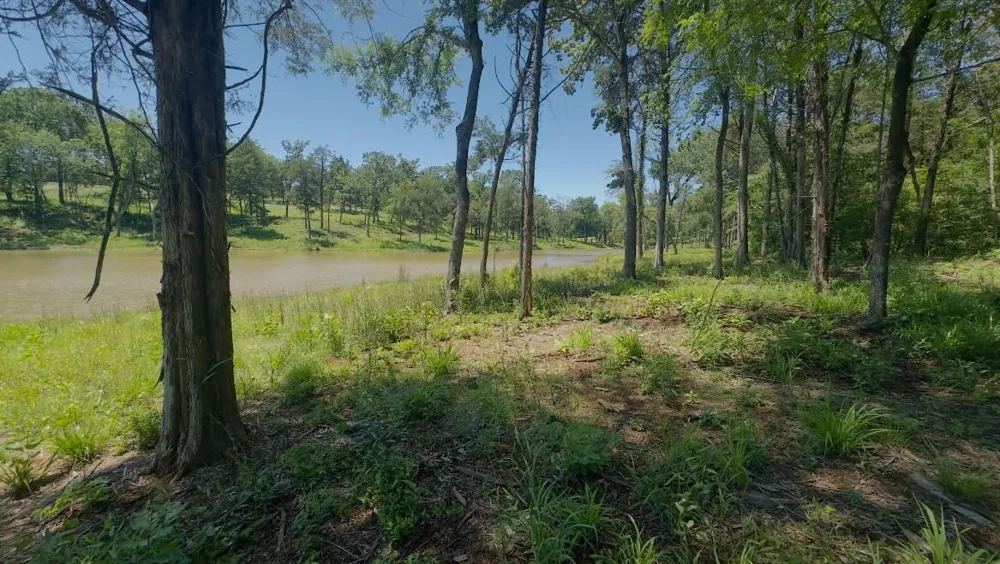 9 County Road 494 Jewett, TX 75846