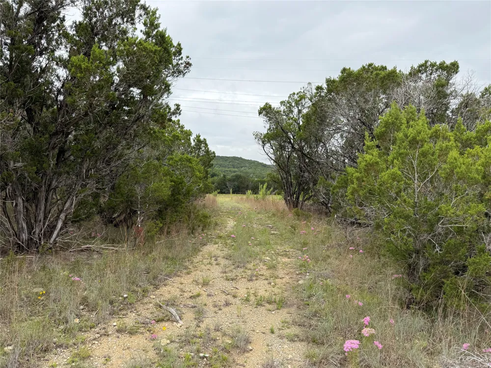 13272 Fm-2484 Salado, TX 76571