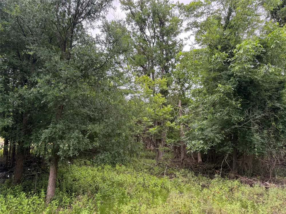 13272 Fm-2484 Salado, TX 76571