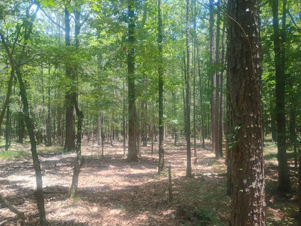 TBD Benton, LA 71006