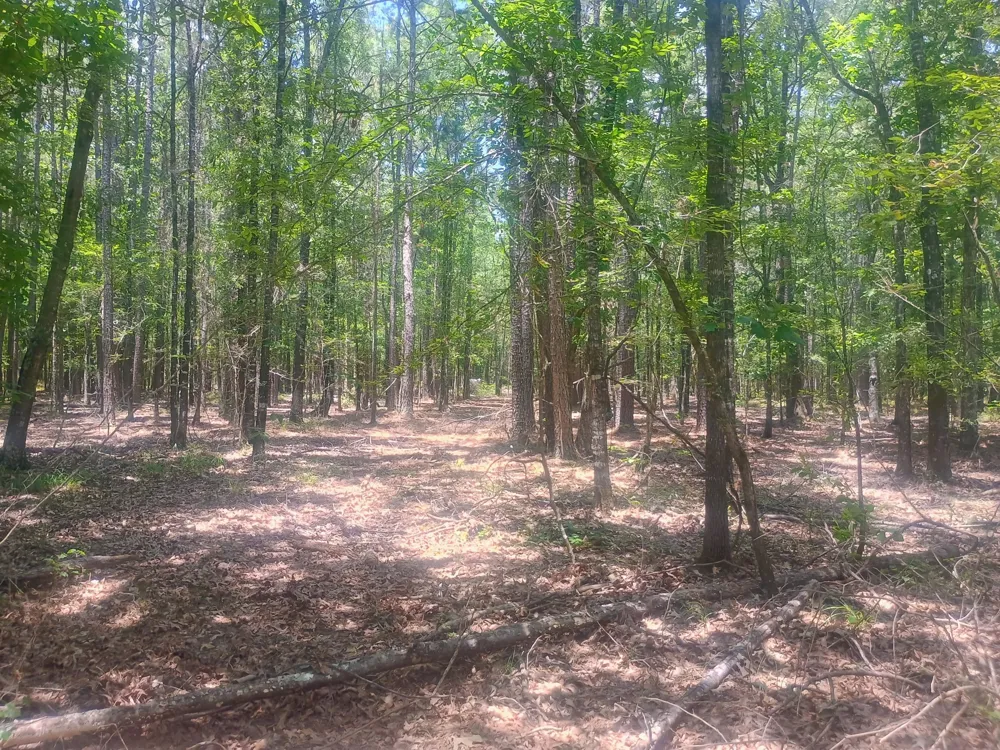 TBD Benton, LA 71006