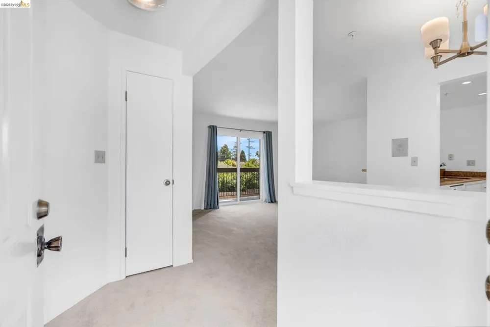 417 Evelyn Ave #205 Albany, CA 94706