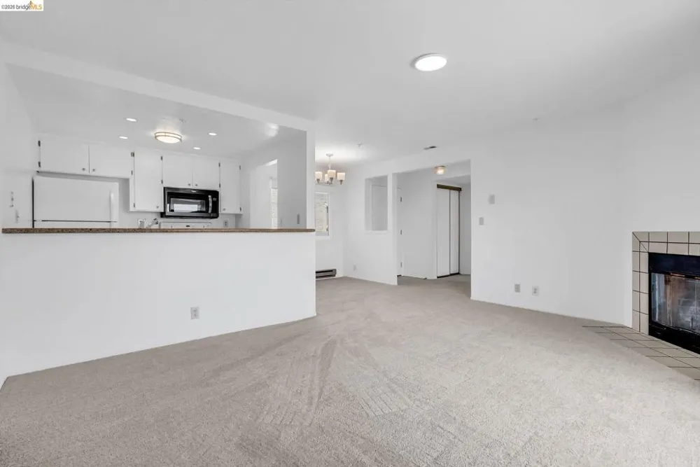 417 Evelyn Ave #205 Albany, CA 94706