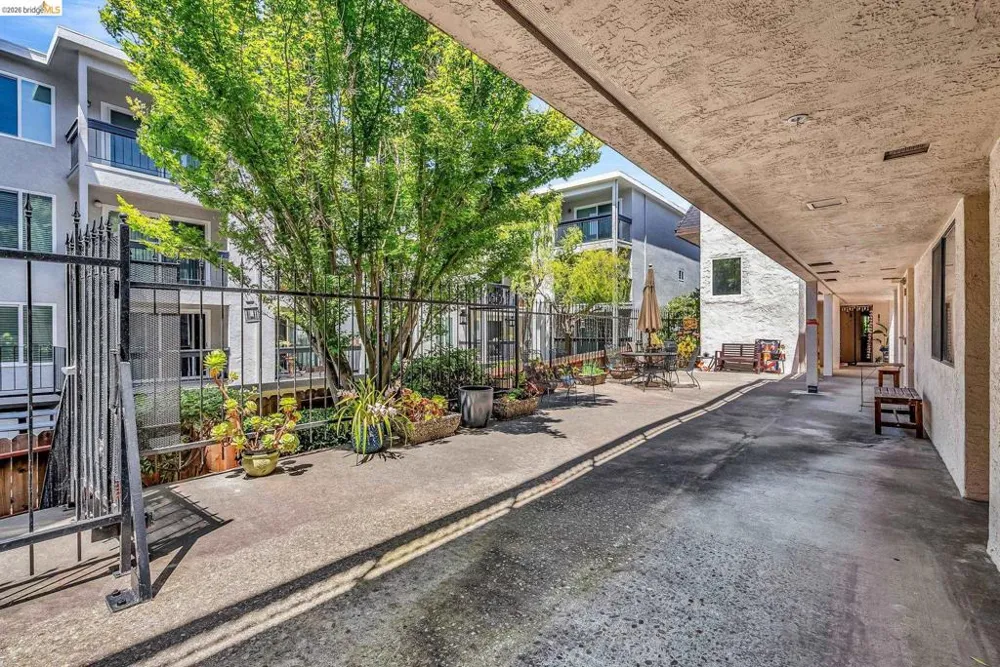 417 Evelyn Ave #205 Albany, CA 94706