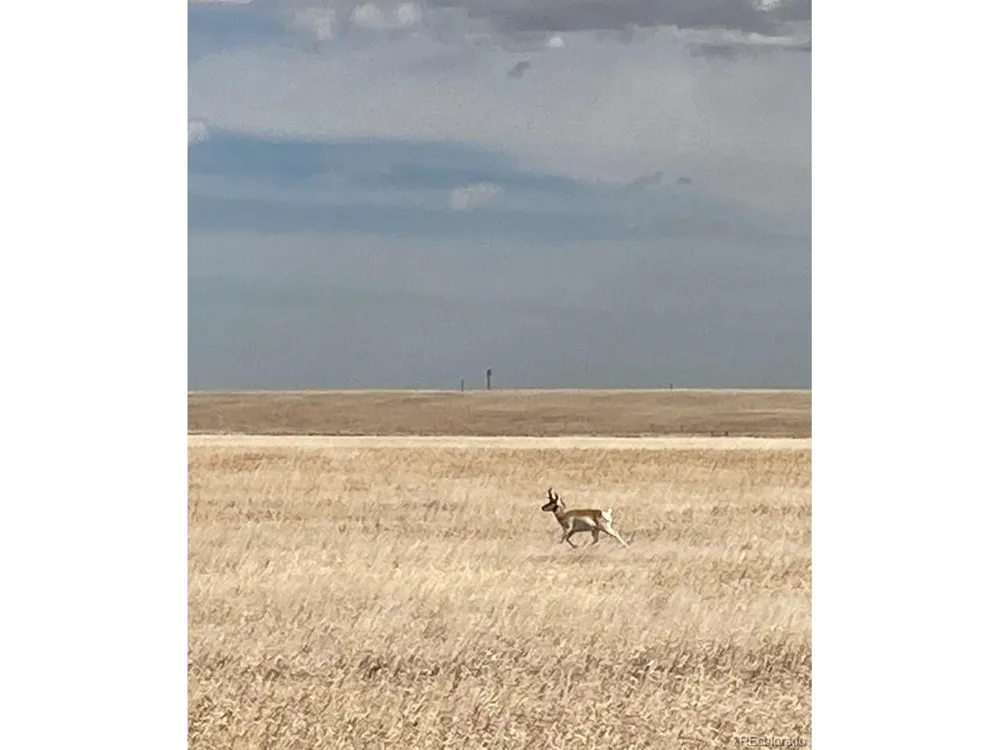 60106 County Road 21 Carr, CO 80612