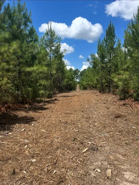 10343 Private Road 8012