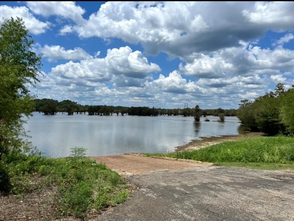 10343 Private Road 8012 Bronson, TX 75930
