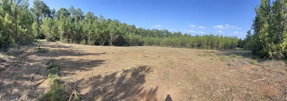 10343 Private Road 8012 Bronson, TX 75930