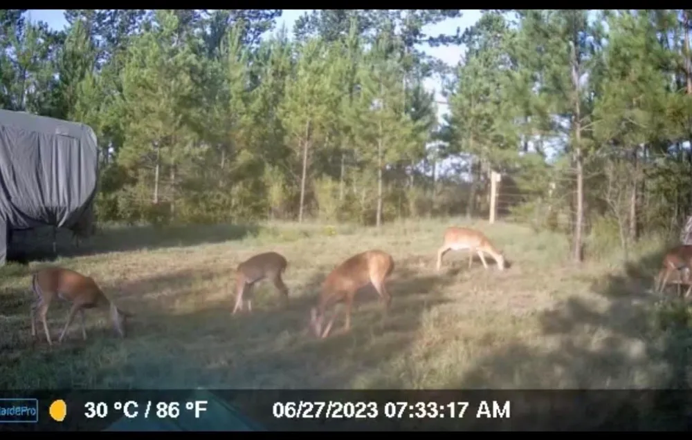 10343 Private Road 8012 Bronson, TX 75930