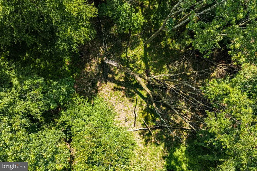DIVISION STREET Mountain Top, PA 18707