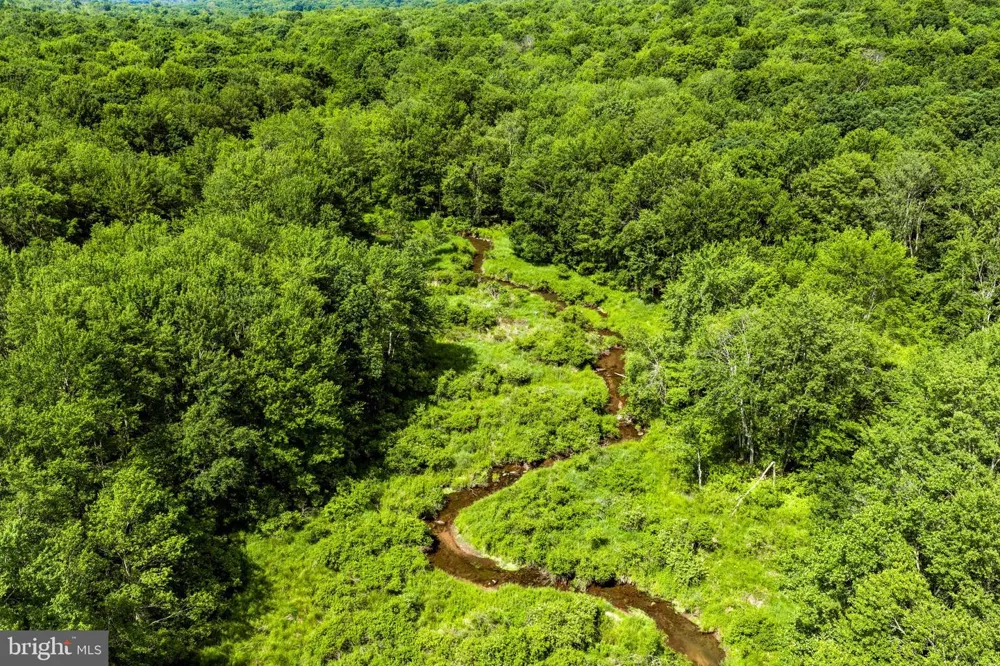 DIVISION STREET Mountain Top, PA 18707
