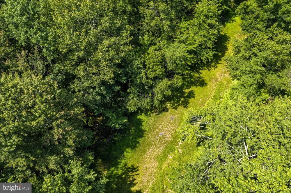 DIVISION STREET Mountain Top, PA 18707