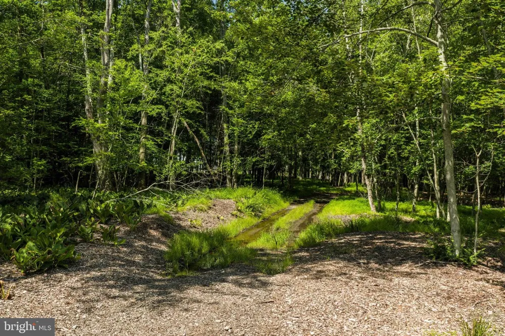 DIVISION STREET Mountain Top, PA 18707