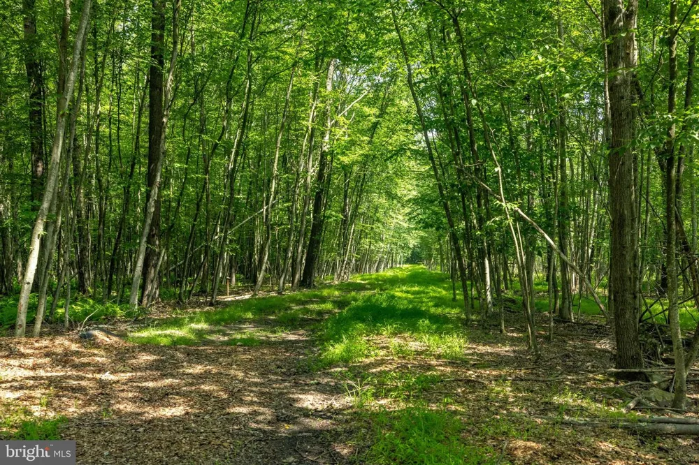 DIVISION STREET Mountain Top, PA 18707