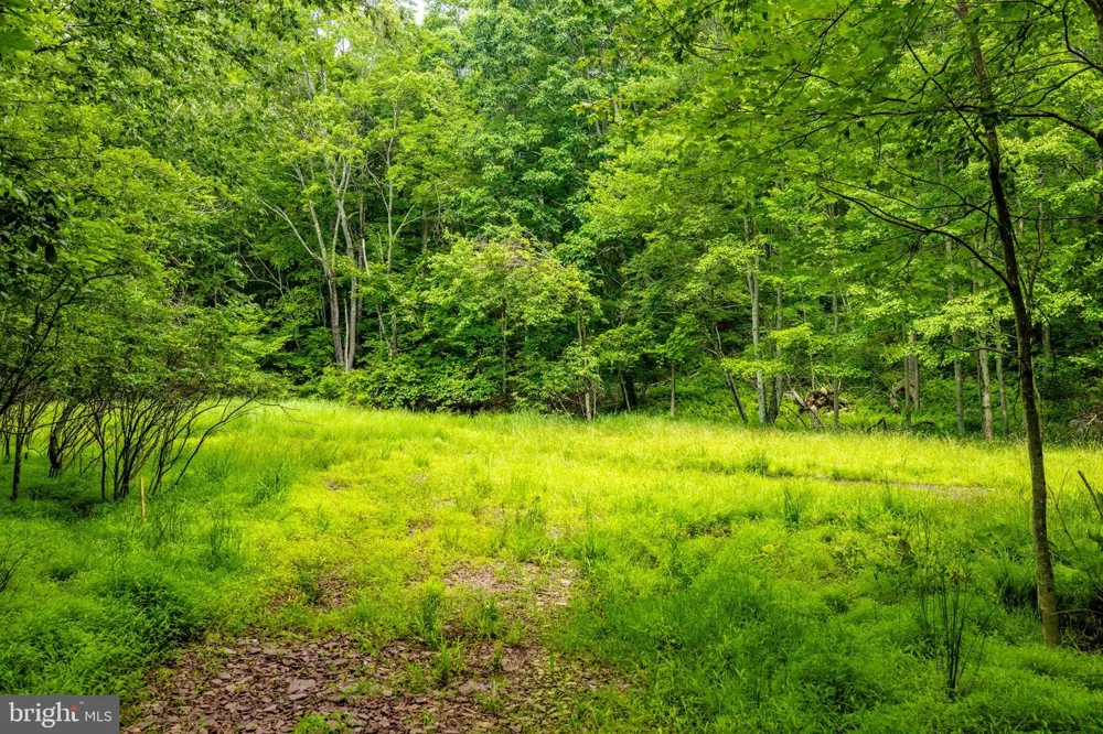 DIVISION STREET Mountain Top, PA 18707