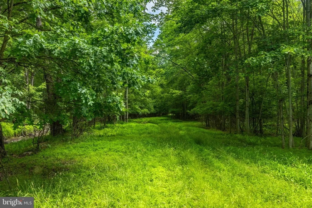 DIVISION STREET Mountain Top, PA 18707