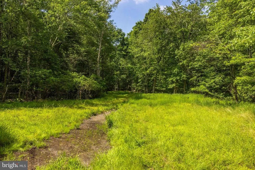 DIVISION STREET Mountain Top, PA 18707