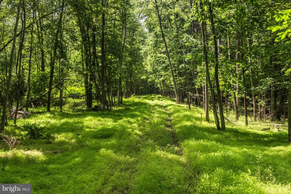 DIVISION STREET Mountain Top, PA 18707