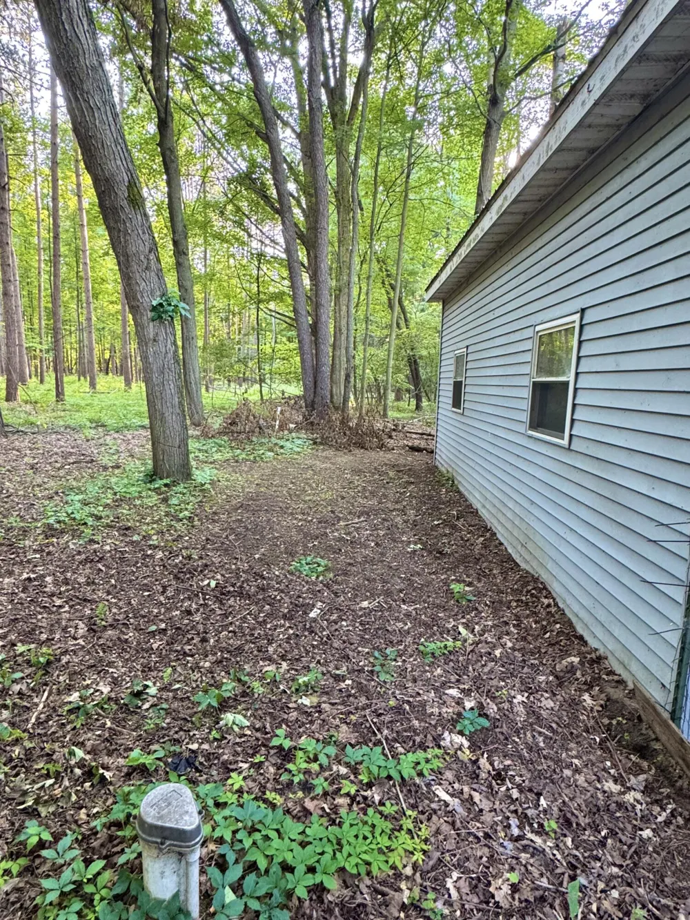 9462 E Colby Road Crystal, MI 48818