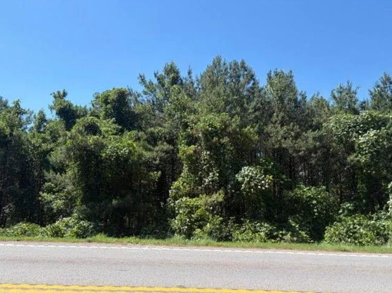 7057 Hwy 81 - Tract 8 Monroe, GA 30656