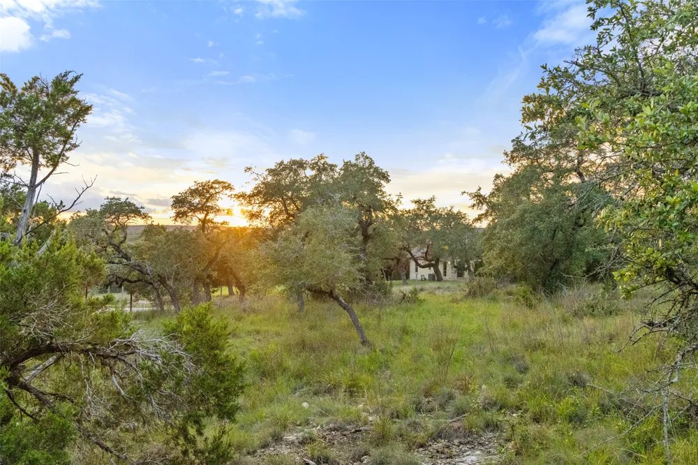 Mirela Ann Road Dripping Springs, TX 78620