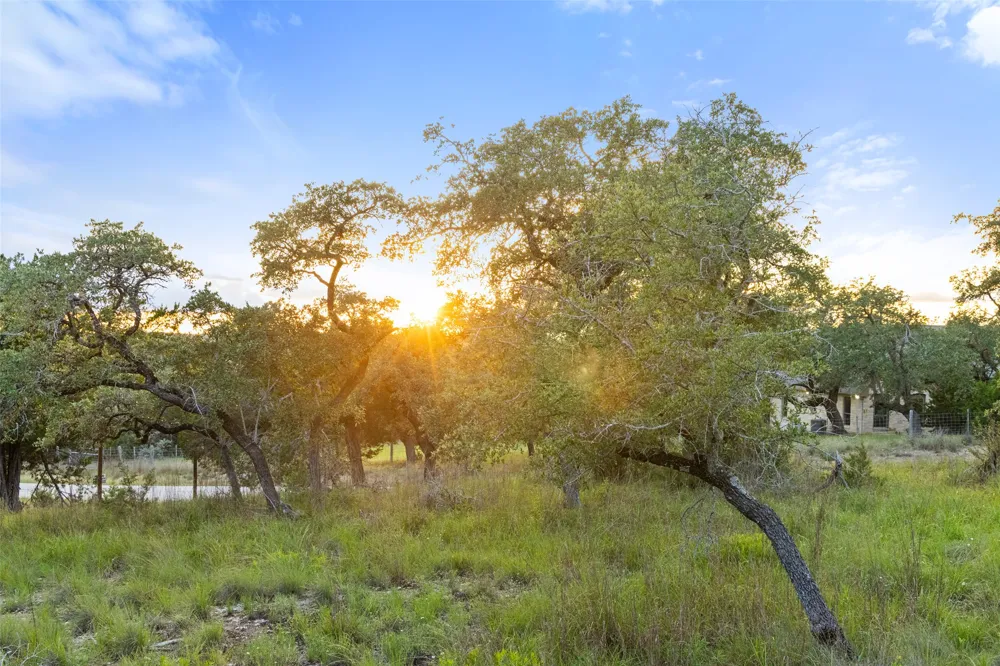 Mirela Ann Road Dripping Springs, TX 78620