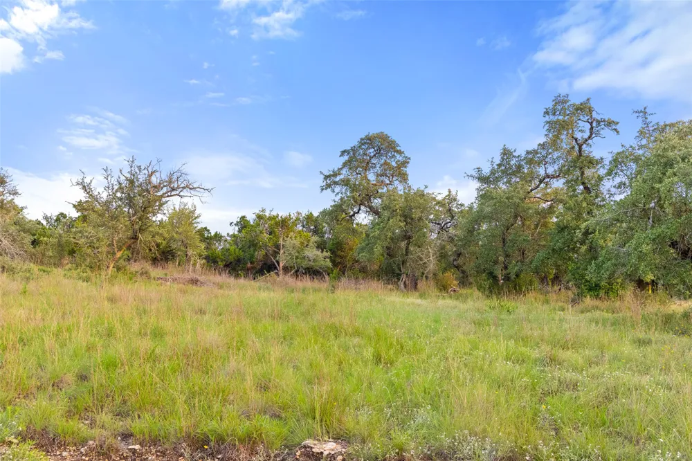 Mirela Ann Road Dripping Springs, TX 78620