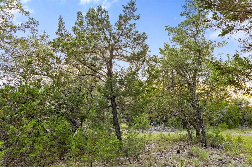 Mirela Ann Road Dripping Springs, TX 78620